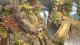 Shadow Tactics: Blades of Shogun - Shogun Edition PC 10