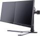 iiyama Stojak biurkowy na 2 monitory 10" - 30" (DS1002D-B1) 4