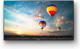 Telewizor Sony LED 55'' 4K (Ultra HD) Android 10