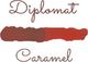 Diplomat atrament Diplo Octopus 30 ml szklany brązowy 1