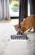 Odkurzacz pionowy Bissell Icon Advanced 25V 2602C + SmartClean Pet 2228N 4