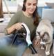 Odkurzacz pionowy Bissell Icon Advanced 25V 2602C + SmartClean Pet 2228N 7