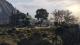 Grand Theft Auto V Premium PC, wersja cyfrowa 1