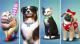 The Sims 4 Psy i Koty PC 2