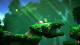 Yoku's Island Express Xbox One 10