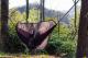 Eno Moskitiera do hamaka Guardian Bug Net (BN001) 4