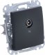 Schneider Electric GN.TV KOŃC.4DB CZARNY ANTRACYT SEDNA DES 2