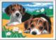 Ravensburger Malowanka CreArt dla dzieci Szczeniaczki Jack Russel 2