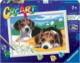 Ravensburger Malowanka CreArt dla dzieci Szczeniaczki Jack Russel 3