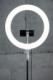 Lampa pierścieniowa Newell  LED Newell RL-18A - WB (3200 K - 5500 K) - Arctic White 13