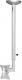 Neomounts Uchwyt sufitowy FPMA-C050SILVER 10'' - 30'' 1