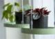 Esschert Design Esschert Design Wisząca taca na rośliny, okrągła, zielona, rozmiar S 1