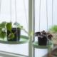 Esschert Design Esschert Design Wisząca taca na rośliny, okrągła, zielona, rozmiar S 3