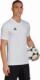 Adidas Koszulka adidas ENTRADA 22 JSY HC5071 HC5071 biały XXXL 3