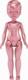 MGA MGA's Dream Bella Color Change Surprise Little Fairies Doll - Jaylen (Pink) 3