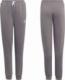 Adidas Spodnie adidas ENTRADA 22 Sweat Panty Y H57519 H57519 szary 164 cm 1