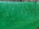 PrimeGarden Siatka plastikowa techniczna-ogrodzeniowa T2 1,2x50m 3