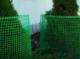 PrimeGarden Siatka plastikowa 0,6x10 m, zielona 4