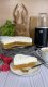 Blender kielichowy 4Swiss NB 102xJJ 15