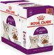 Royal Canin Karma Royal Canin Sensory Feel gravy 12x85g 1