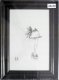 Ramka Focus Charleston Black 20x30 1