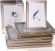 Ramka Focus Focus Verona Silver 13x18 1