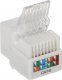 ZŁĄCZE KEYSTONE FX-RJ45-61*P100 1