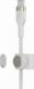 Kabel USB Belkin USB-C - Lightning 3 m Biały (CAA011BT3MWH) 5