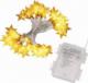 Lampki choinkowe Springos 50 LED białe ciepłe 2