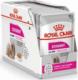 Royal Canin ROYAL CANIN Canine Care Nutrition Exigent 12x85G 1