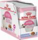 Royal Canin Royal Canin Kitten w galarecie 12x85g 1