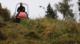 Traktor ogrodowy Cedrus Seco Goliat 4x4 15