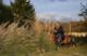 Traktor ogrodowy Cedrus Seco Goliat 4x4 41