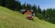 Traktor ogrodowy Cedrus Seco Goliat 4x4 4