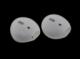 4kom.pl Silikonowe nakładki do Apple AirPods EarPods przezroczyste mleczne () - 32749-uniw 3