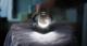 Generator pary Tefal Pro Express Vision GV9812 6