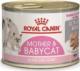 Royal Canin Royal Canin Babycat Instinctive mus 195g 1