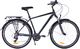 Fuzlu Rower trekkingowy 28 Fuzlu Escape 1.0 Men (20") grafit/czarny/czarny połysk 1