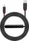 Kabel USB Lindy USB-A - USB-B 10 m Czarny (43227) 2