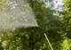 Gardena Gardena pressure sprayer 5 L EasyPump - 11136-20 5