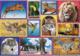 Trefl Puzzle 1000 Dzika natura Discovery Animal Planet 2