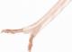 Przewód Lanberg Lanberg Kabel głośnikowy 2x1.0 100 SC-2X10-10CC-1000-TR 2