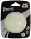 Chuckit! MAX GLOW BALL LARGE (20040) 1
