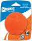 Chuckit! FETCH BALL MEDIUM (194002) 1