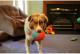 Chuckit! INDOOR BALL (213201) 6