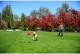 Chuckit! KICK FETCH LARGE (251201) 7