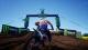 MXGP 2019 - The Official Motocross Videogame Xbox One, wersja cyfrowa 2