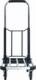 vidaXL vidaXL Składany wózek transportowy, 150 kg, aluminiowy, srebrny 3