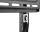 VivoLink Wall mount slim M up to VESA 1