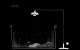 Plankton PC, wersja cyfrowa 10